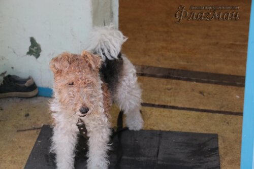 Берег весёлых Робинзонов 2017